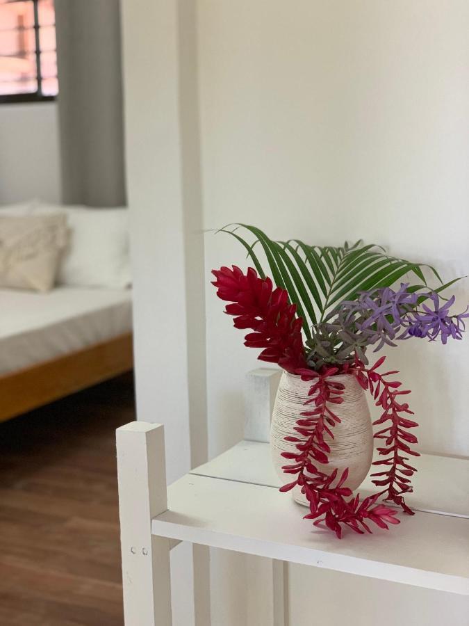 Elena Brown Appartement Puerto Viejo de Talamanca Buitenkant foto